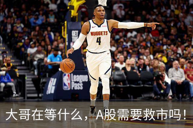 大哥在等什么，A股需要救市吗！